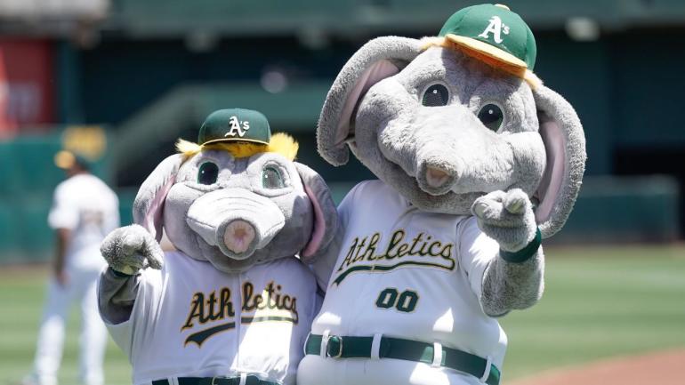 MLB Damn Right I Am A Oakland Athletics Mascot Fan Win Or Lose